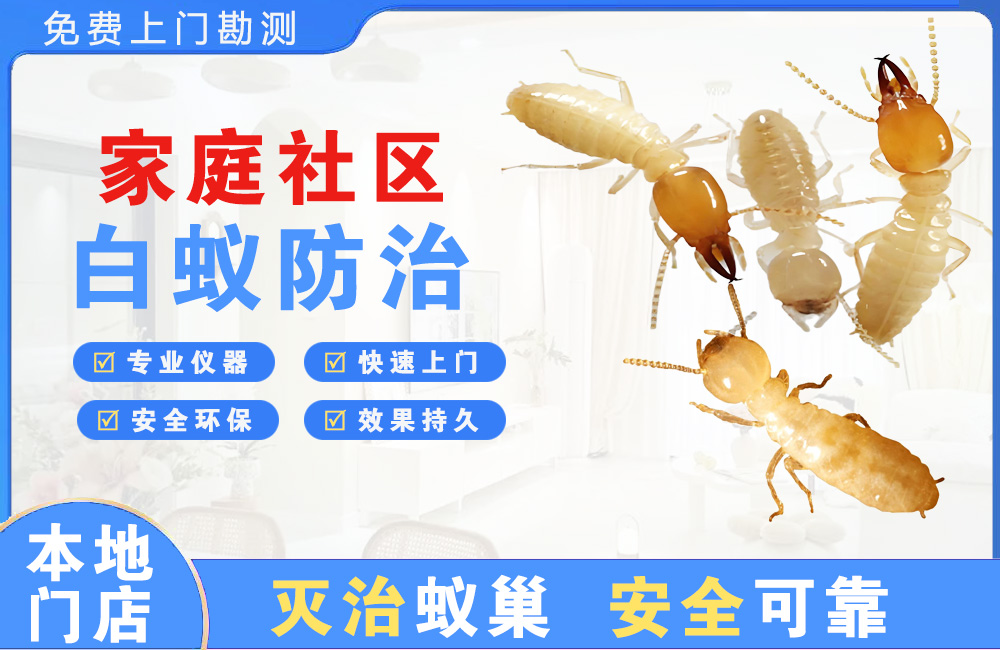 扬中家庭社区白蚁防治