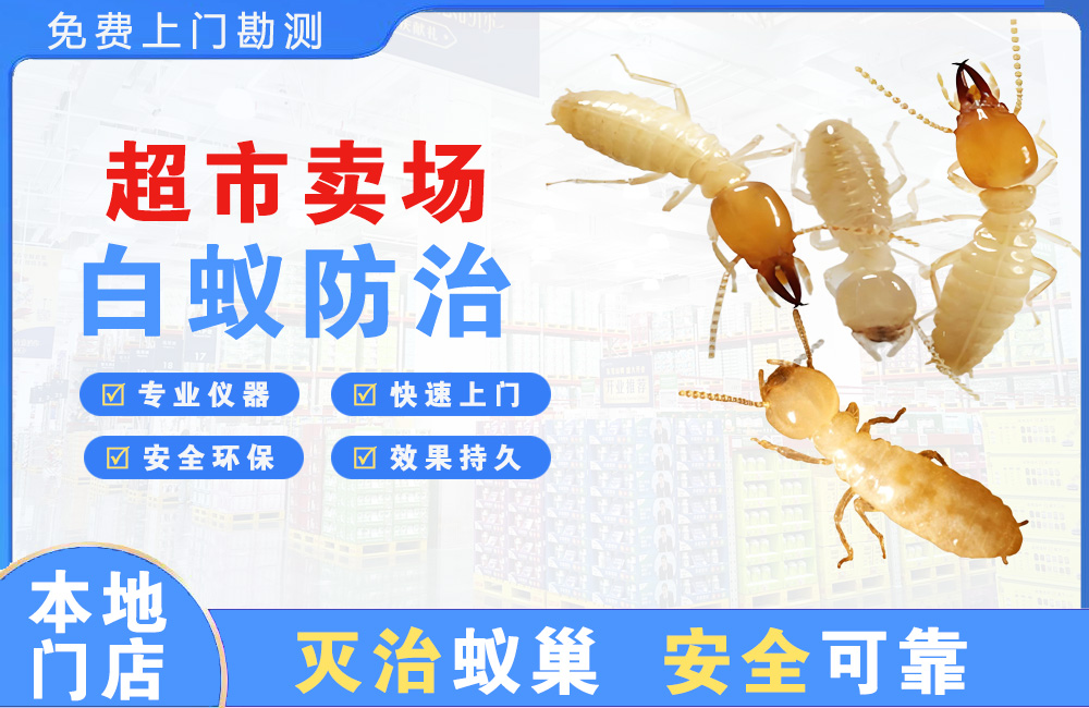 扬中超市卖场白蚁防治