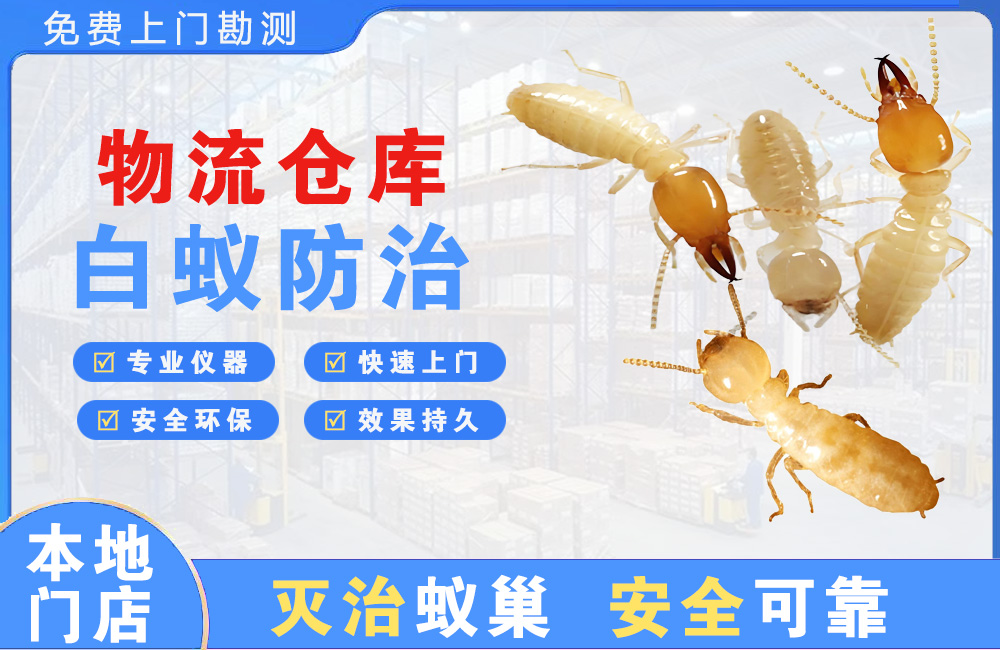 扬中物流仓库白蚁防治