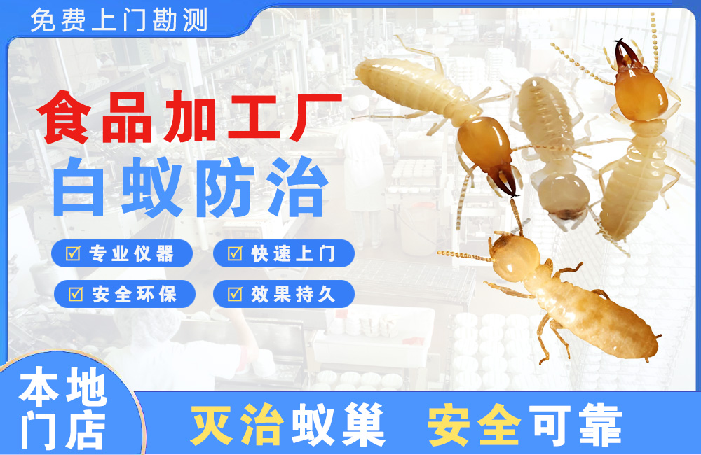 扬中食品加工厂白蚁防治