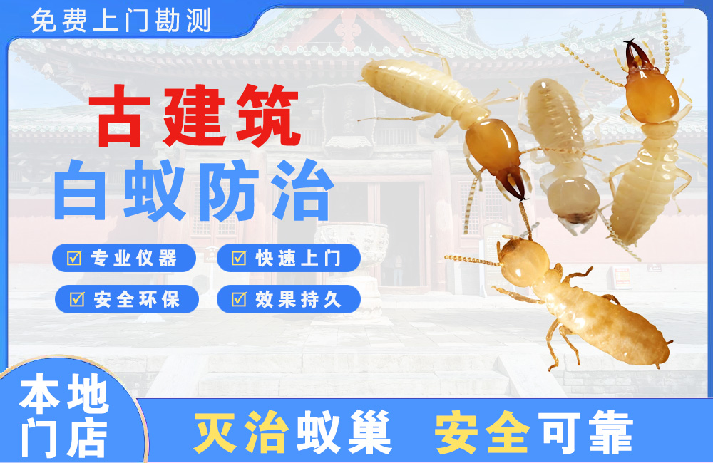扬中古建筑白蚁防治