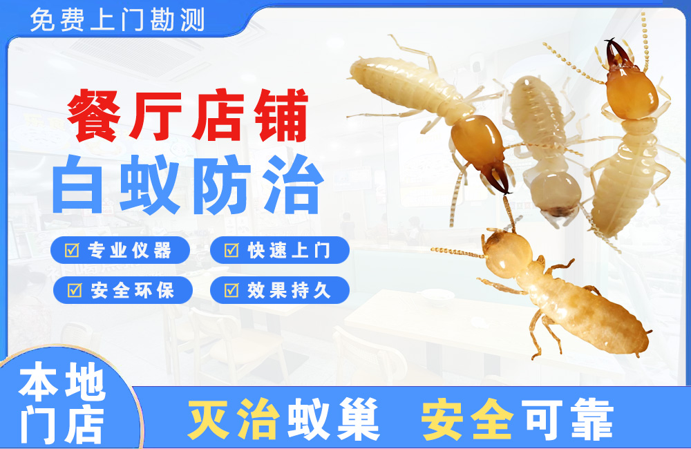扬中餐厅店铺白蚁防治